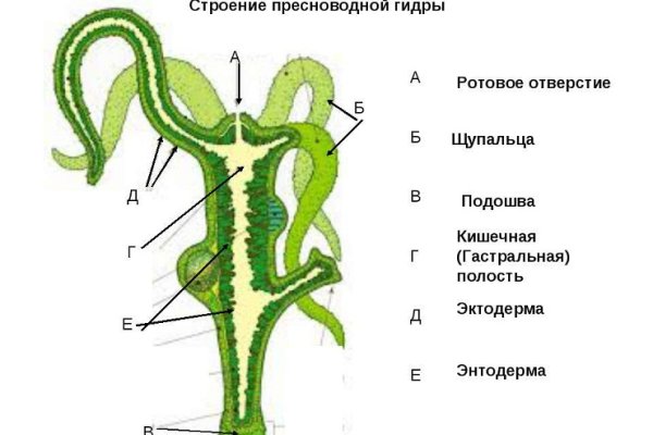 Kraken istand onion