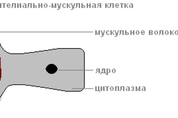 Kraken зеркало даркнет