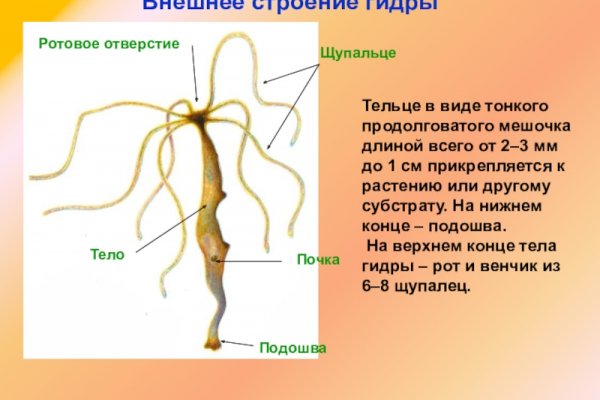 Кракен ссылка официальная в тор