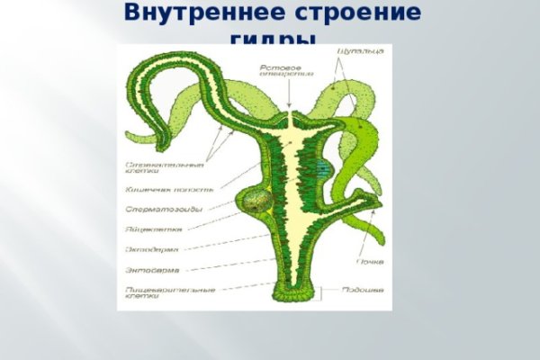 Кракен сайт krk market com